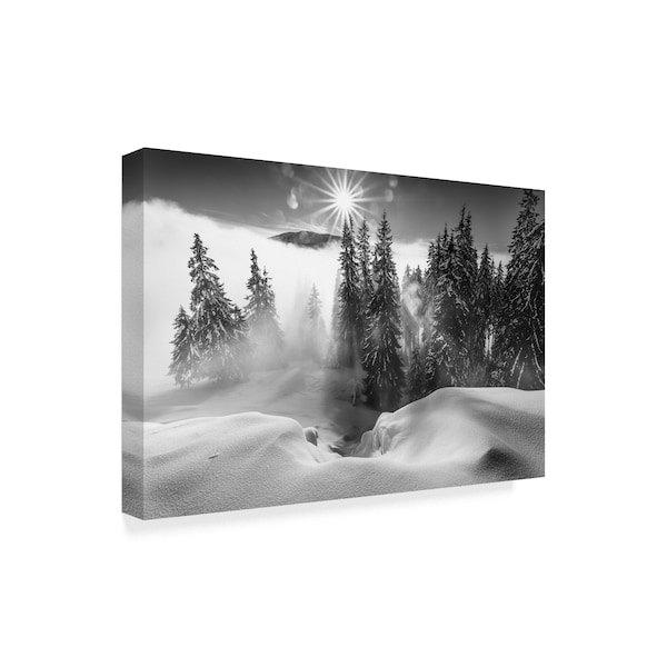 Sorin Onisor 'A Winter Tale' Canvas Art,16x24